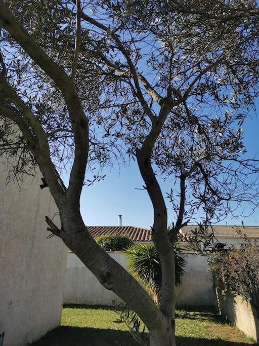 Belle Villa De 90M2 Au Calme Avec Jardin Et Parking A 10 Mn De La Mer En Voiture Fos-sur-Mer Exteriér fotografie